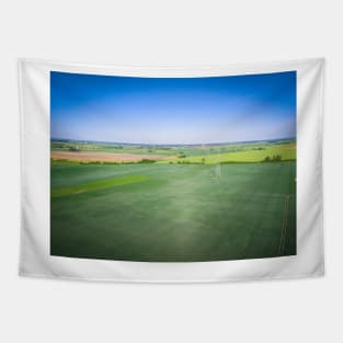 Aerial view of high voltage line over field of green grain Tapestry