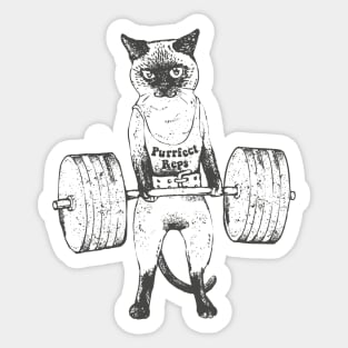 Cat Deadlift Powerlifting' Awesome Cats Gym Gift - Cat - Pillow