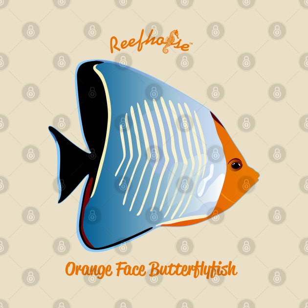 Orange Face Butterflyfish by Reefhorse