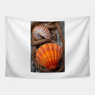 Sea Shell And Nautilus In Rope Tapestry