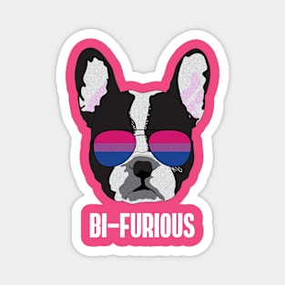 BI-FURIOUS - Boston Terrier Dog Bi Bisexual Pride Flag Magnet