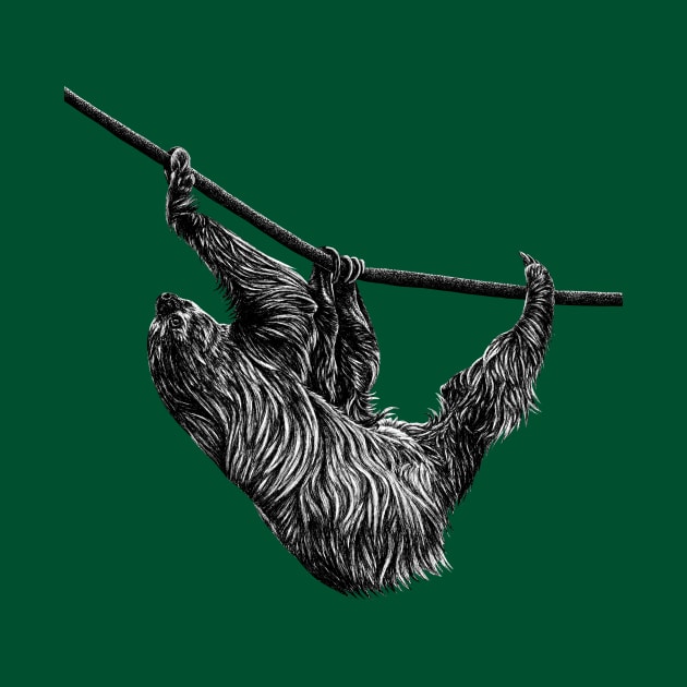 Linnaeus's two-toed sloth by lorendowding