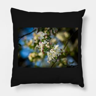 Blossoms of Spring Pillow