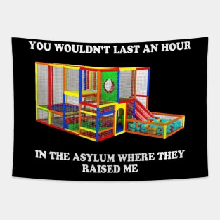 You Wouldn't Last An Hour In The Asylum Where They Raised Me Tapestry