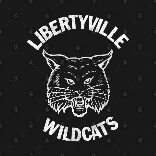 Discover Libertyville Wildcats -- Faded Vintage Thrift Store Style Design - Wildcats - T-Shirt