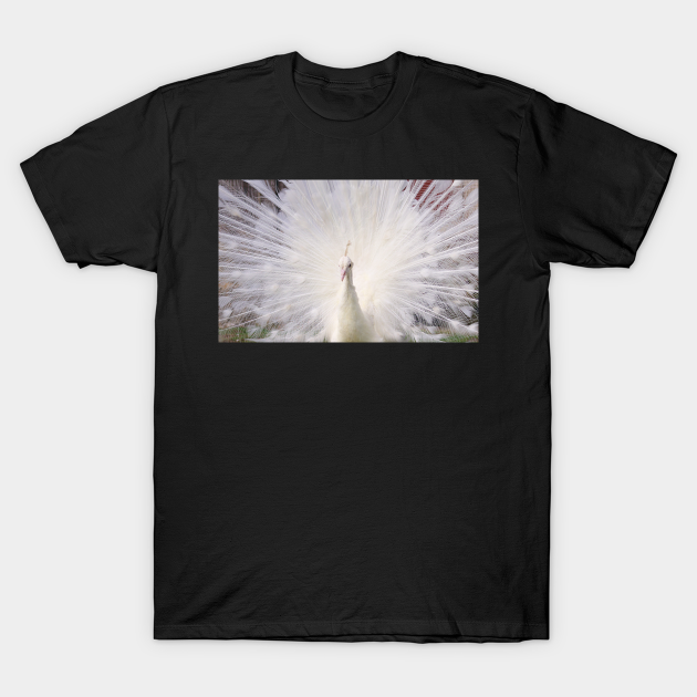peacocks white t shirt