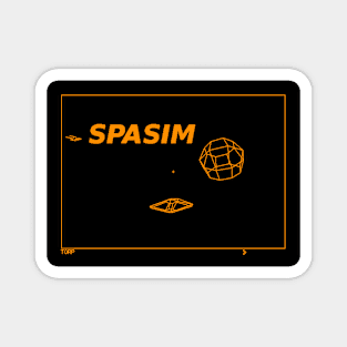 SPASIM Magnet