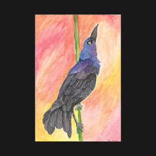 Great-Tailed Grackle T-Shirt