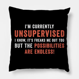 I'm Currently Unsupervised But The Possibilities Are Endless Pillow