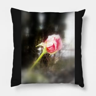 rosebud in the snow, Rainier Oregon Pillow