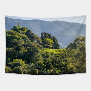 Costa Rica Morning Mountain Haze Tapestry