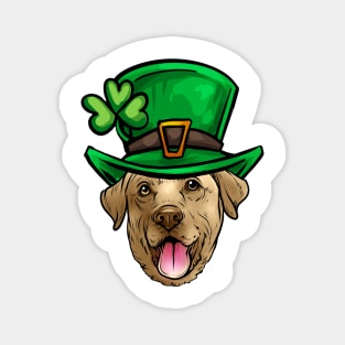 St Patricks Day Yellow Labrador Retriever Magnet