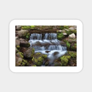 Fern Spring Waterfall Magnet