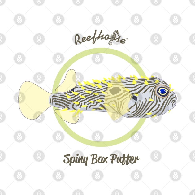 Spiny Box Puffer by Reefhorse