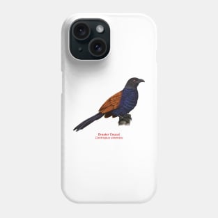 Greater Coucal | Centropus sinensis Phone Case