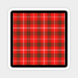 Duke Of Rothesay Plaid Tartan Scottish Magnet