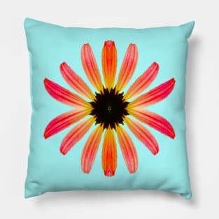 Pretty Multicolored Daisy Pillow