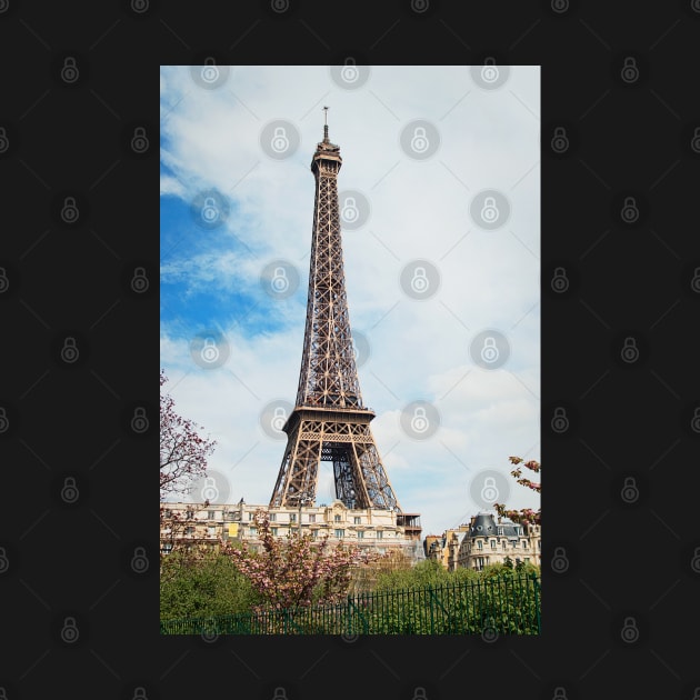The Eiffel Tower by Design A Studios