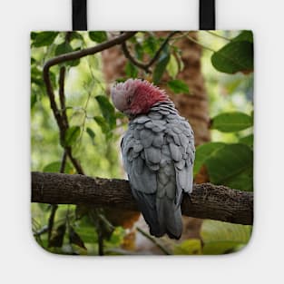 Galah Cockatoo Tote