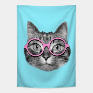 Cat wearing pink glasses Tapestry