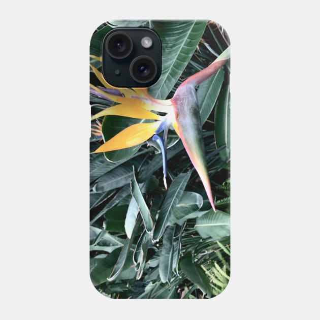 Bird of Paradise Phone Case by Bear Case Designs