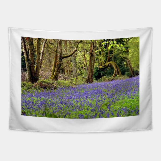 Bluebell Woods Basildon Park Berkshire UK Tapestry by AndyEvansPhotos