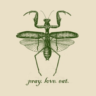 Pray Love Eat Vintage Crack Texture T-Shirt