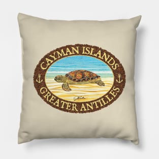 Cayman Islands, Sea Turtle Basking on the Beach Pillow