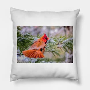 Christmas Cardinal Pillow