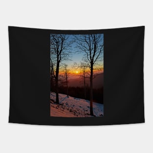 Sunset with sun in the frame Tapestry