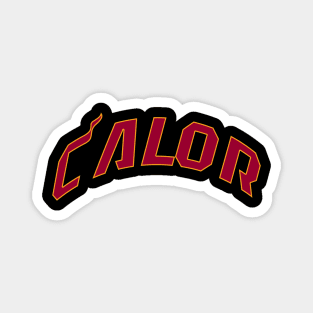 Miami Heat Calor español Magnet