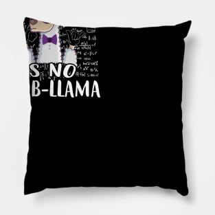 Best Gift Idea with Quote for Llama Lovers Pillow