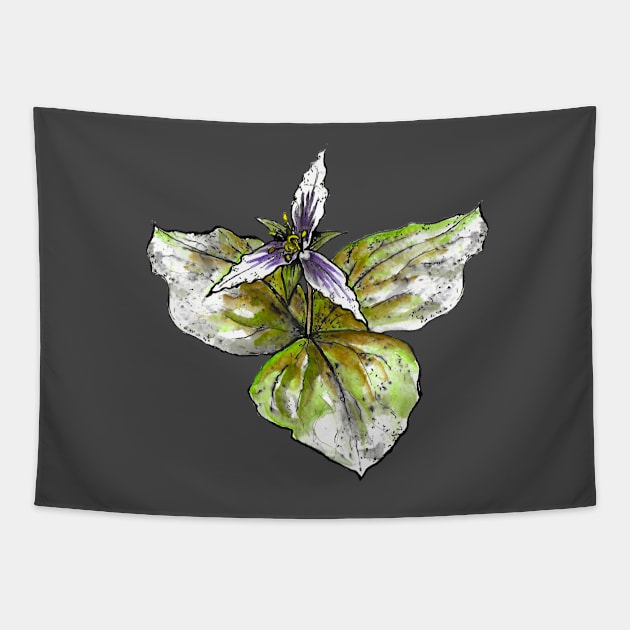 Trillium Tapestry by mycologist