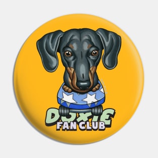 Cute Black and Tan Doxie skateboarding  on Star Skateboard Pin