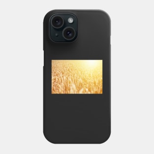 Field of ripe wheat against golden sunrise Phone Case