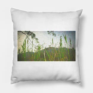 Pampas Grass Pillow