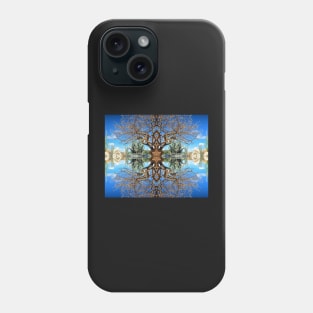 Desert Reflections Aruba Phone Case