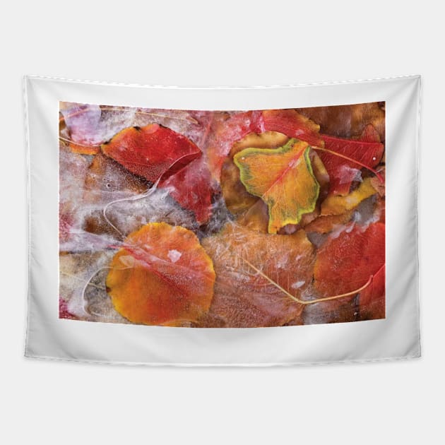 Cottonwood Frozen Leaves Tapestry by RhysDawson