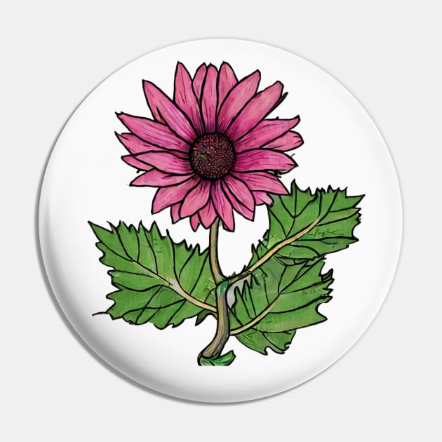 Pink Flower Drawing Pin by PhotoSphere