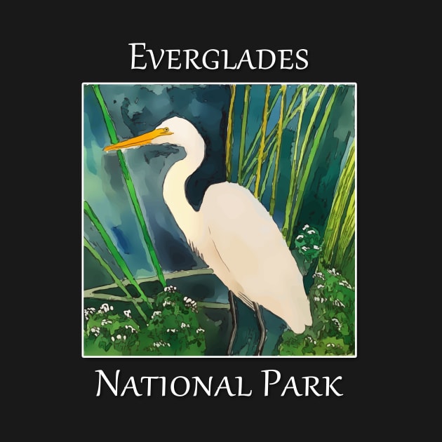 Great white egret standing in the water at Everglades National Park in Florida by WelshDesigns