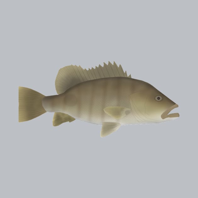 Spot Tail Bass by FishFolkArt