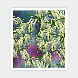 Wattle blooms in an abstract landscape Magnet