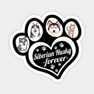 Siberian Husky forever Magnet