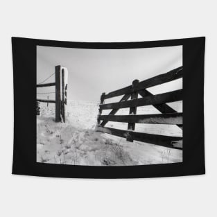 Open Fence in Wintertime Tapestry