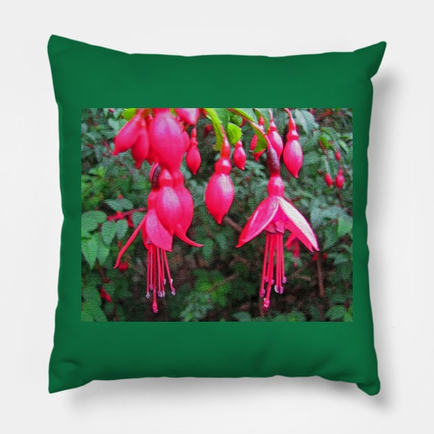 Fuchsia Pillow by RedHillDigital