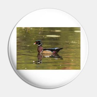 Male Wood Duck - Mud Lake Pin