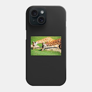 A pair of Giraffes grazing Phone Case