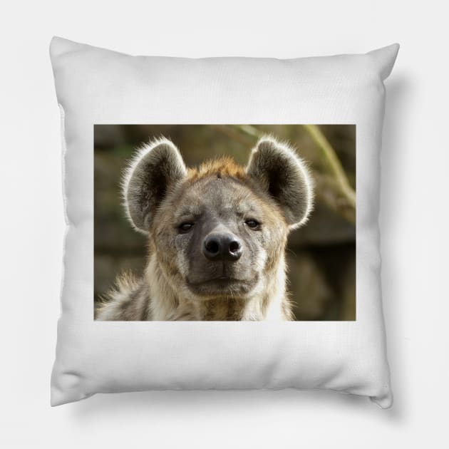 Hyena Pillow by kawaii_shop