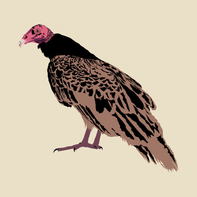 Turkey Vulture - Bird - Phone Case