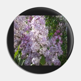 Purple lilac Pin